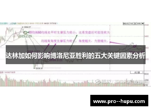 达林加如何影响博洛尼亚胜利的五大关键因素分析