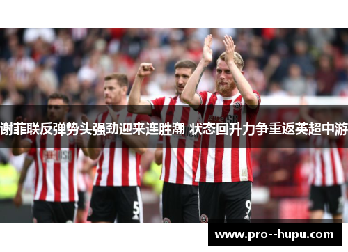 谢菲联反弹势头强劲迎来连胜潮 状态回升力争重返英超中游