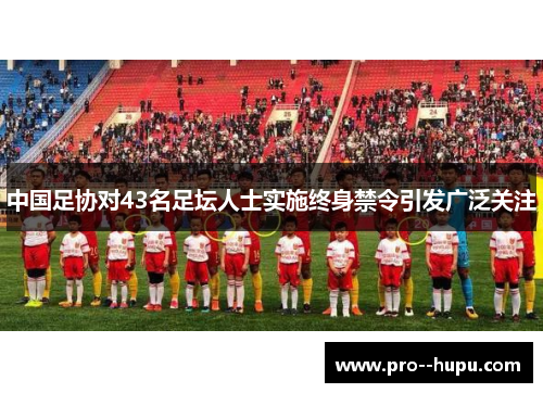 中国足协对43名足坛人士实施终身禁令引发广泛关注