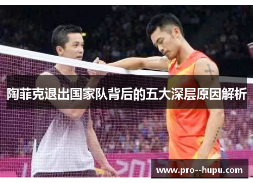 陶菲克退出国家队背后的五大深层原因解析