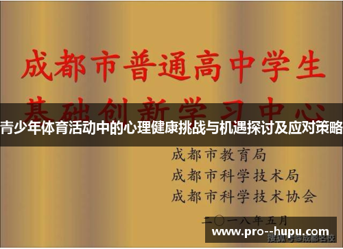 青少年体育活动中的心理健康挑战与机遇探讨及应对策略