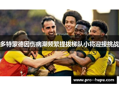 多特蒙德因伤病潮频繁提拔梯队小将迎接挑战 多特蒙德因伤病潮频繁提拔梯队小将迎接挑战